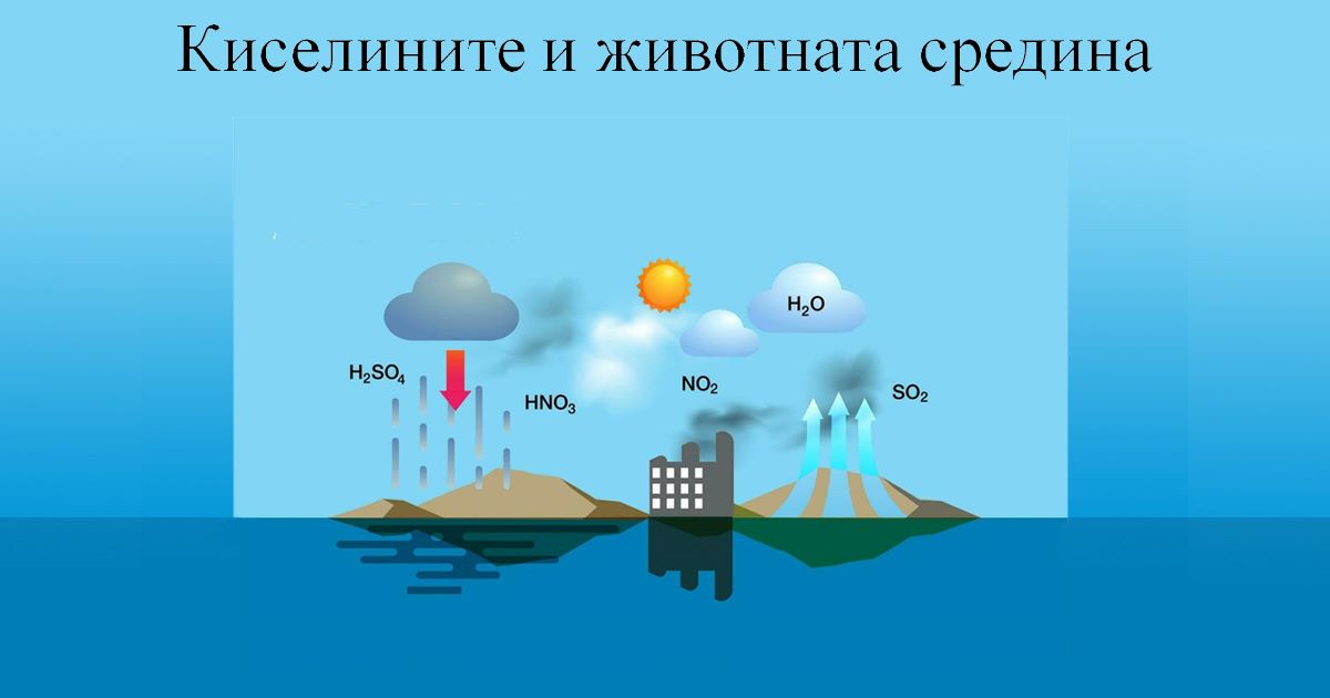 Киселините и животната средина