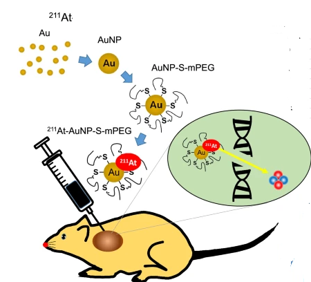 Астатин експеримент со глушец