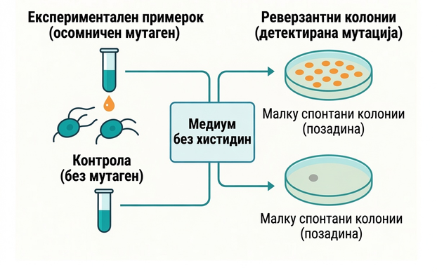 експеримент