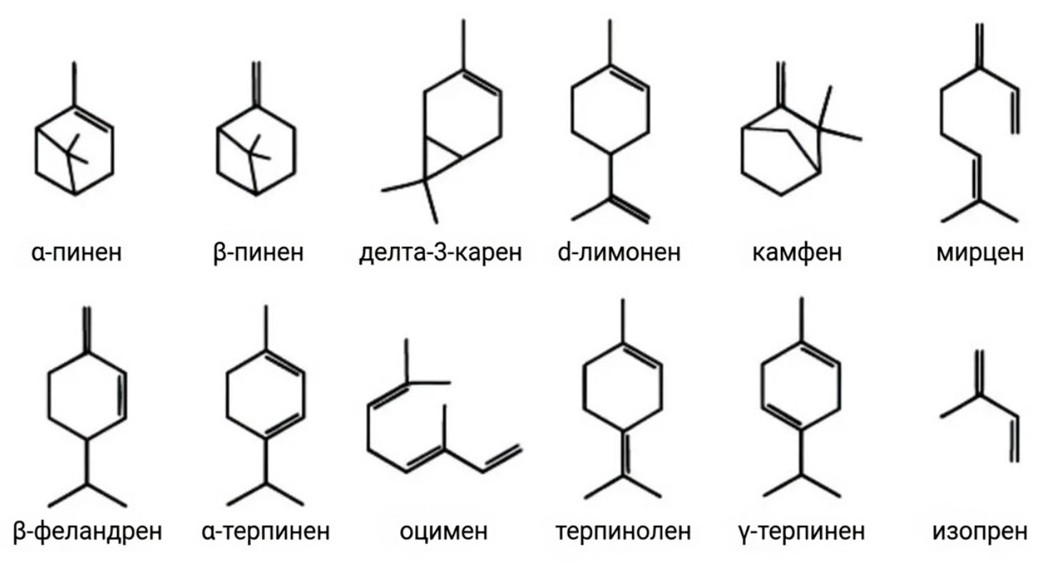 фитонциди