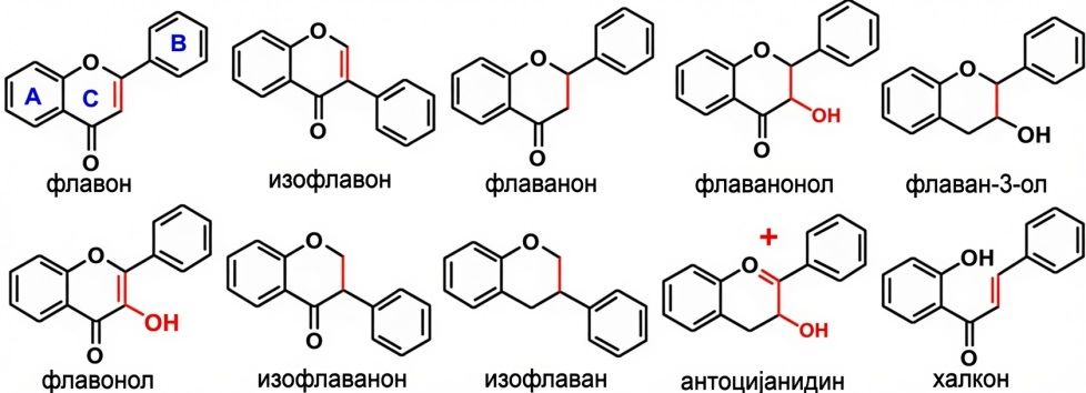фитоницид формула