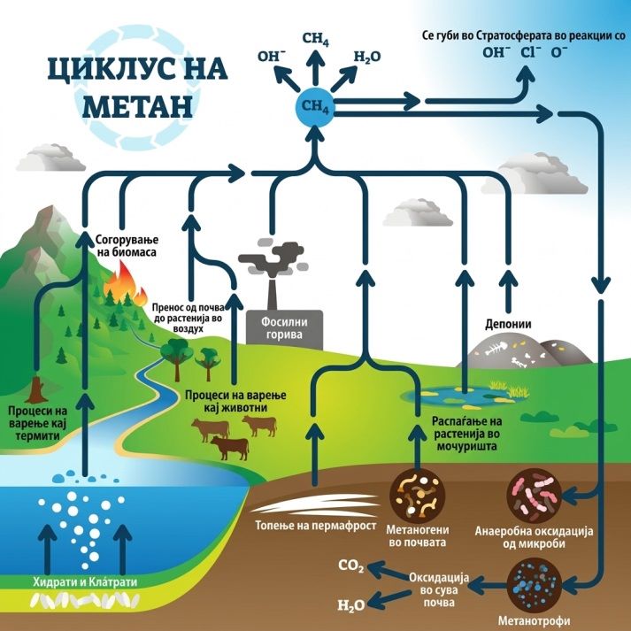 циклус метан